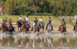 29 Lac au trésor